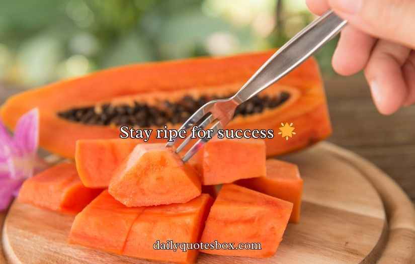 Papaya Puns