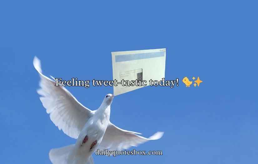 Pigeon Puns and Jokes