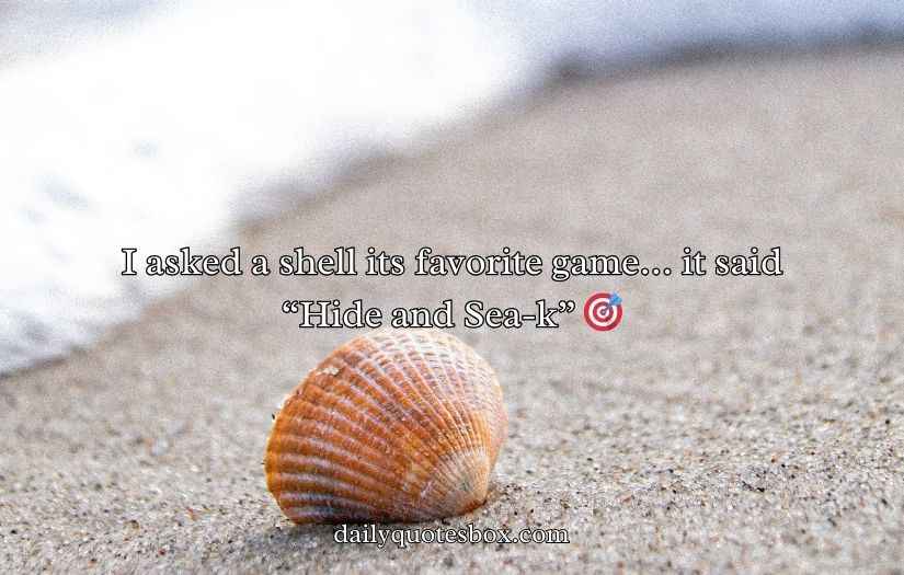 Shell Puns and Jokes