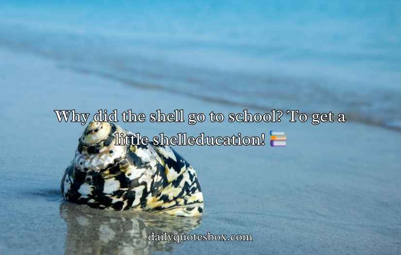 Shell Puns and Jokes