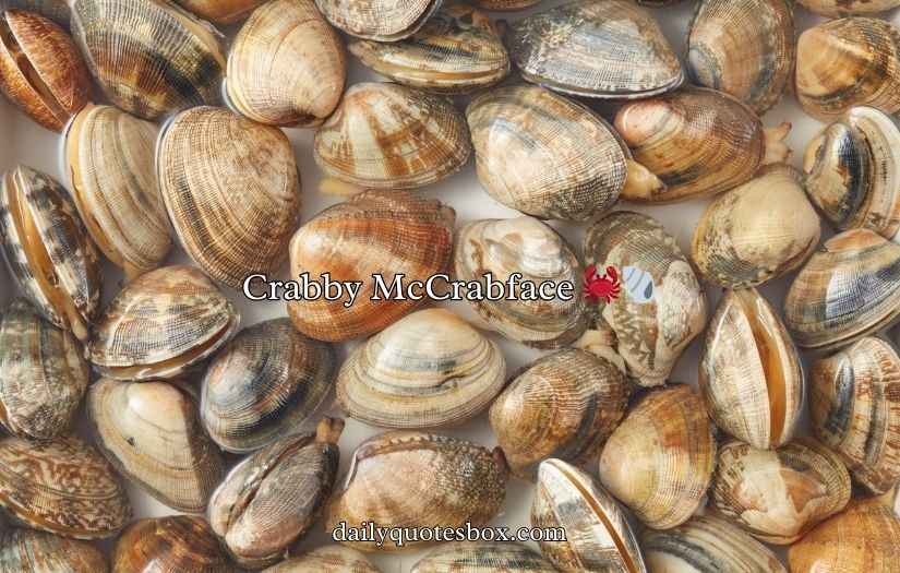 Shell Puns and Jokes