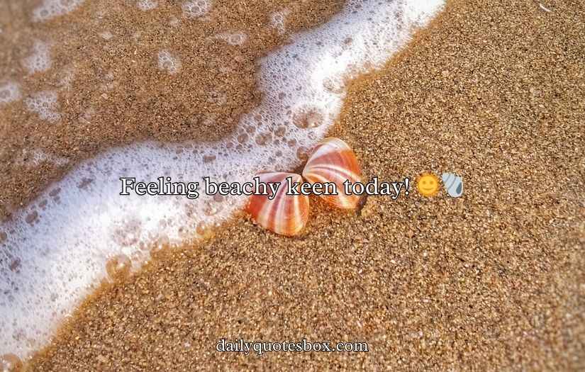 Shell Puns and Jokes