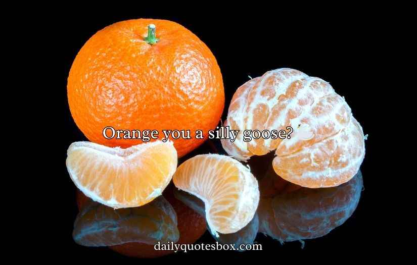 Tangerine Puns