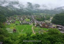 Village Puns Village Puns