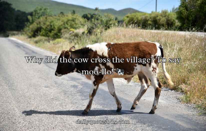 Village Puns
